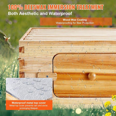 Bee Hive 30 Frame Bee Hives Starter Kit, Beeswax Coated Fir Wood, 2 Deep + 1 Medium Bee Boxes Langstroth Beehive Kit, Transparent Acrylic Windows with Foundations for Beginners Pro Beekeepers