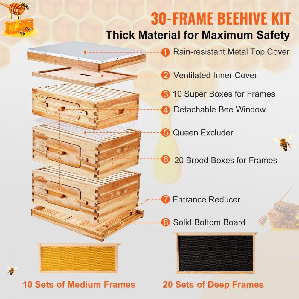 Bee Hive 30 Frame Bee Hives Starter Kit, Beeswax Coated Fir Wood, 2 Deep + 1 Medium Bee Boxes Langstroth Beehive Kit, Transparent Acrylic Windows with Foundations for Beginners Pro Beekeepers